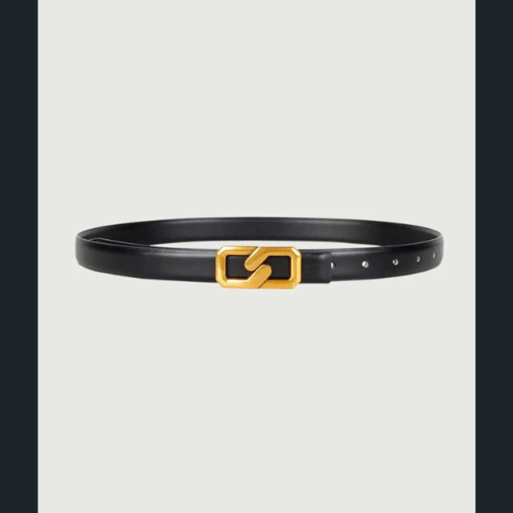 Rhioas Reversible Metal Buckle Belt - New, never worn